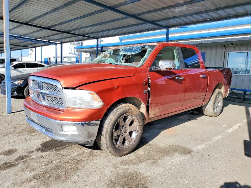 DODGE RAM 1500 2009 with VIN 1D3HV13TX9S747436 - Photo from auction
