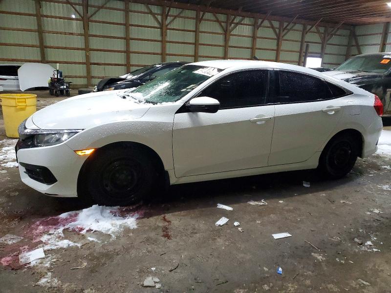 HONDA CIVIC LX 2017 with VIN 2HGFC2F56HH017586 - Photo from auction