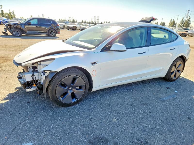 TESLA MODEL 3 2023 with VIN 5YJ3E1EA6PF564981 - Photo from auction