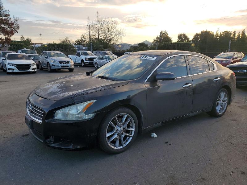 NISSAN MAXIMA S 2009 with VIN 1N4AA51E09C832142 - Photo from auction