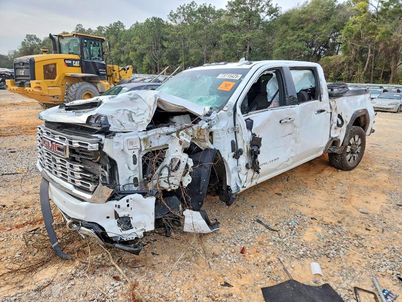 Photo 1 from auction – 2024 GMC SIERRA with VIN 1GT49REY0RF396631