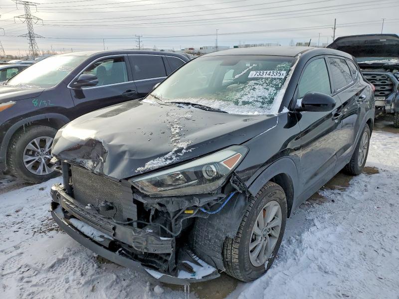 HYUNDAI TUCSON 2017 with VIN KM8J23A43HU555719 - Photo from auction