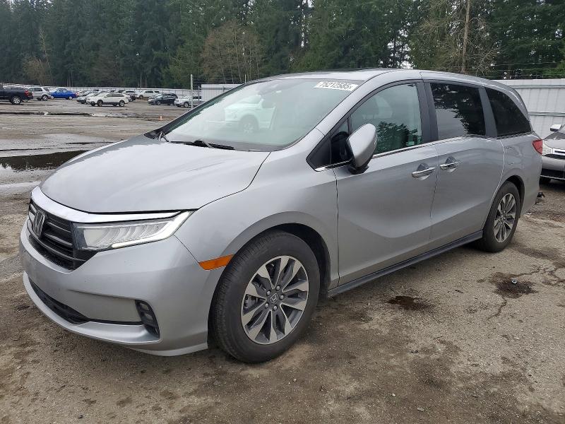 HONDA ODYSSEY 2024 with VIN 5FNRL6H6XRB052664 - Photo from auction