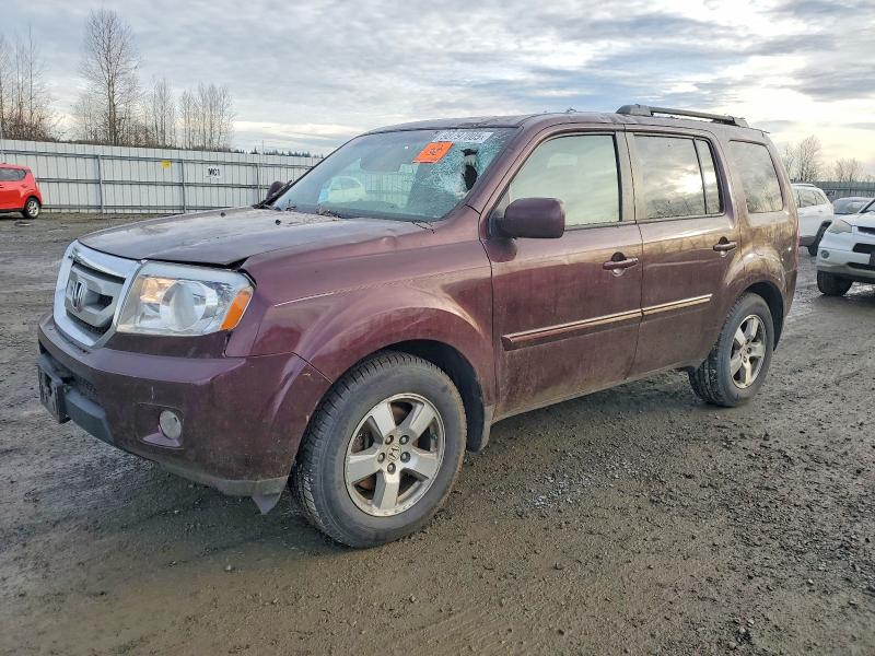 HONDA PILOT EXL 2010 with VIN 5FNYF4H67AB001540 - Photo from auction