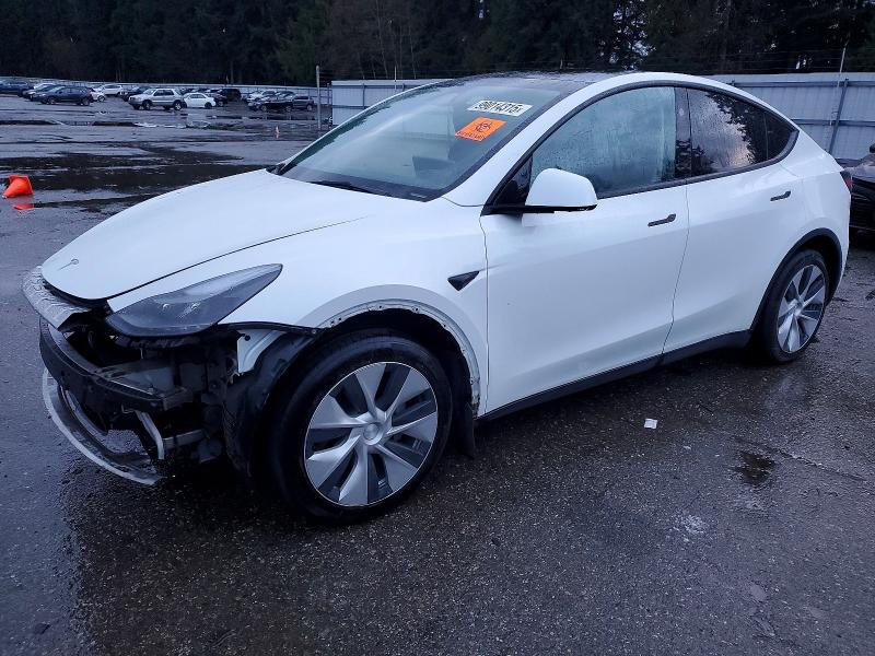 TESLA MODEL Y 2023 with VIN 7SAYGDEE3PF815477 - Photo from auction