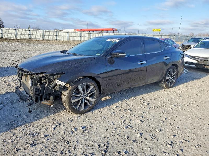 NISSAN MAXIMA 2019 with VIN 1N4AA6AV1KC360335 - Photo from auction