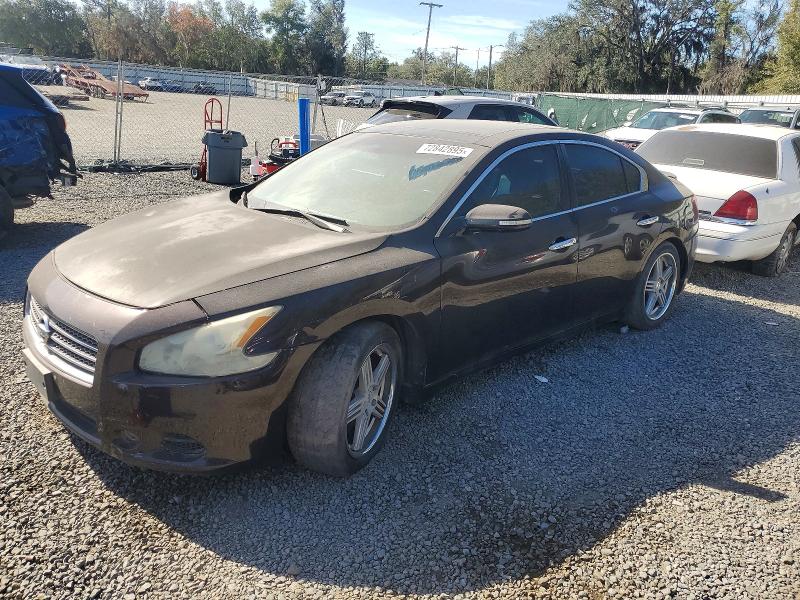NISSAN MAXIMA 2010 with VIN 1N4AA5AP9AC800781 - Photo from auction