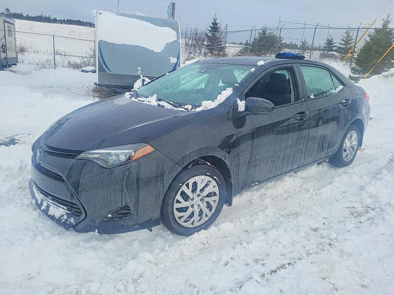 TOYOTA COROLLA 2019 with VIN 2T1BURHE2KC167194 - Photo from auction