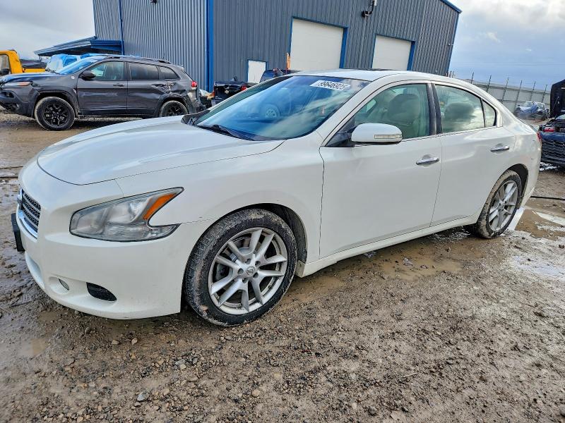Photo 1 from auction – 2010 NISSAN MAXIMA S with VIN 1N4AA5APXAC819016