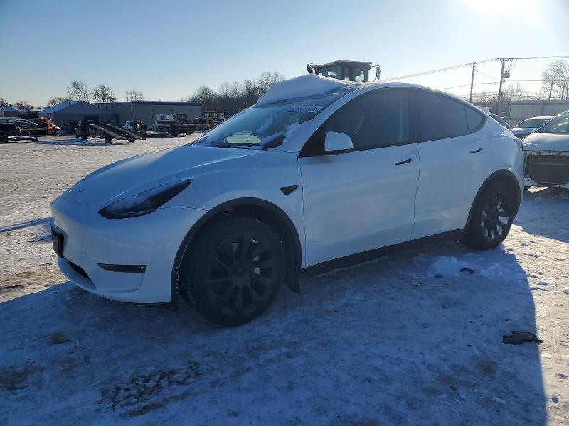 TESLA MODEL Y 2023 with VIN 7SAYGDEEXPF761398 - Photo from auction