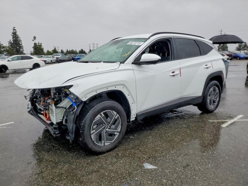 HYUNDAI TUCSON BLU 2025 with VIN KM8JBDD19SU353935 - Photo from auction