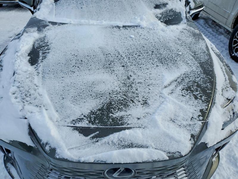 Photo 11 from auction – 2025 LEXUS RX with VIN 2T2BAMCA9SC112561