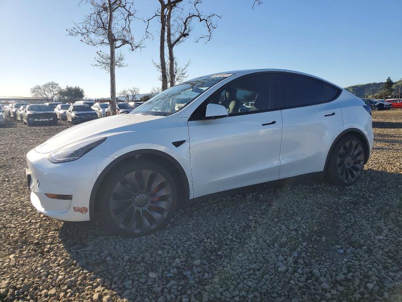 TESLA MODEL Y 2024 with VIN 7SAYGDEFXRF181371 - Photo from auction