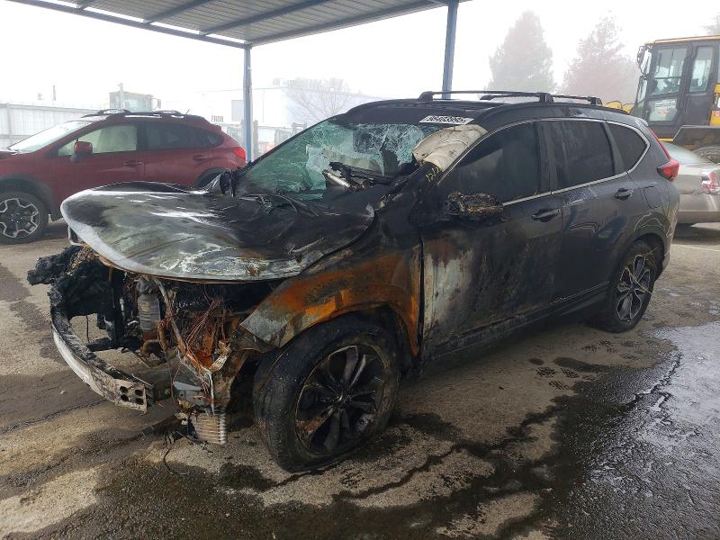 HONDA CR-V EX 2022 with VIN 5J6RT6H50NL023750 - Photo from auction