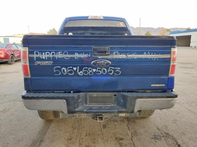 Photo 6 from auction – 2012 FORD F150 with VIN 1FTFW1EF8CFC25392