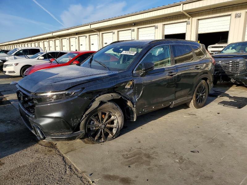 HONDA CR-V SPORT 2024 with VIN 7FARS6H57RE076340 - Photo from auction