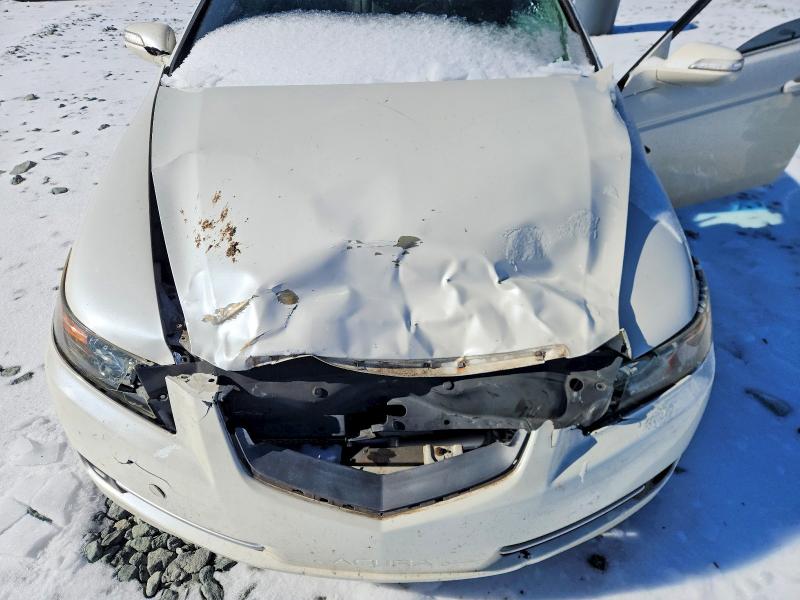 Photo 11 from auction – 2007 ACURA TL with VIN 19UUA66207A029336