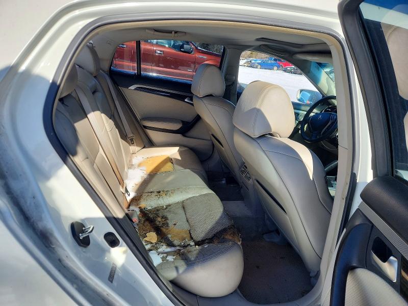 Photo 10 from auction – 2007 ACURA TL with VIN 19UUA66207A029336