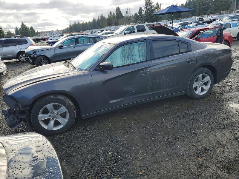 DODGE CHARGER 2014 with VIN 2C3CDXBG1EH198664 - Photo from auction