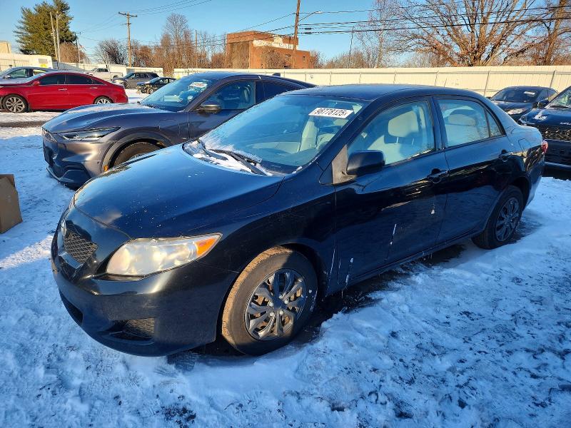 TOYOTA COROLLA BA 2010 with VIN 2T1BU4EE8AC513027 - Photo from auction