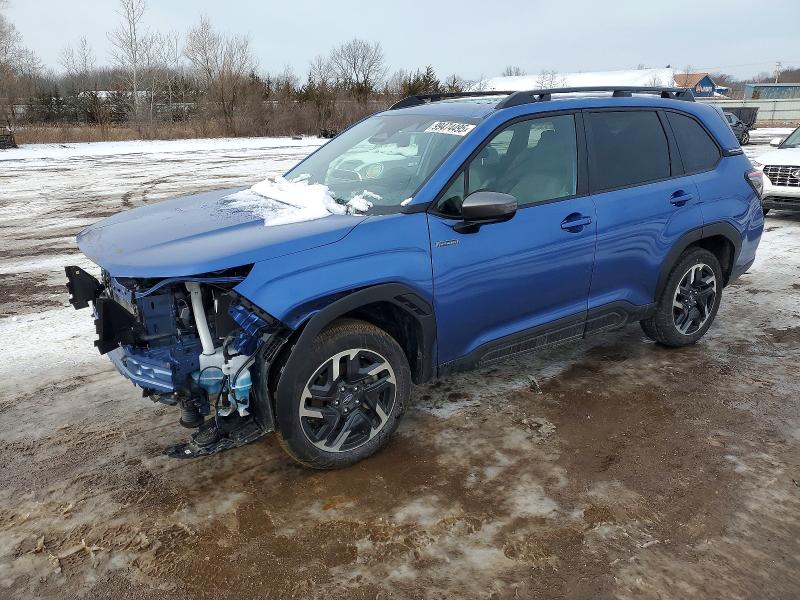 SUBARU FORESTER P 2025 مع رقم تعريف المركبة JF2SLSED0SH423545 - صورة من المزاد