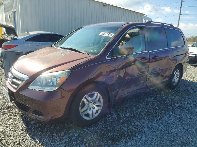 HONDA ODYSSEY 2007 with VIN 5FNRL38757B103539 - Photo from auction