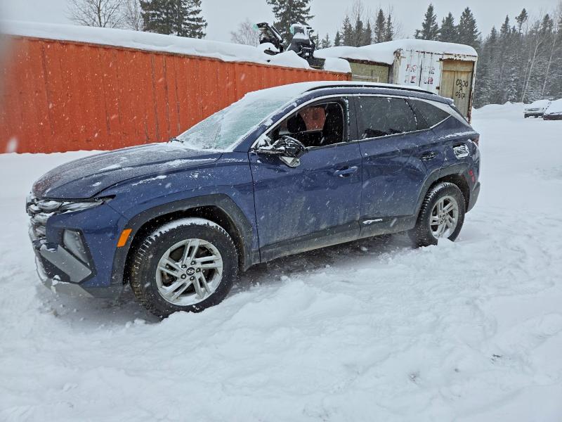 HYUNDAI TUCSON SEL 2025 with VIN 5NMJBCDEXSH457133 - Photo from auction
