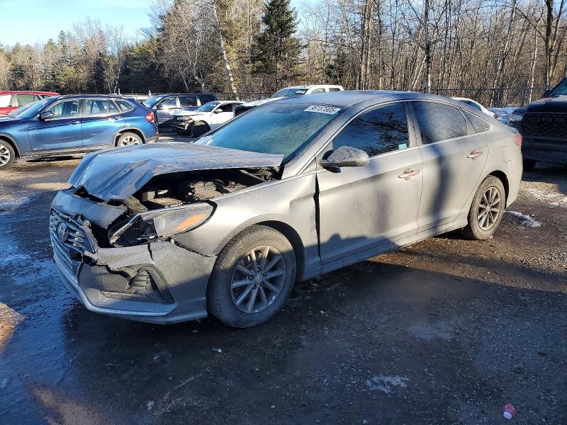 HYUNDAI SONATA 2019 with VIN 5NPE24AF9KH794478 - Photo from auction