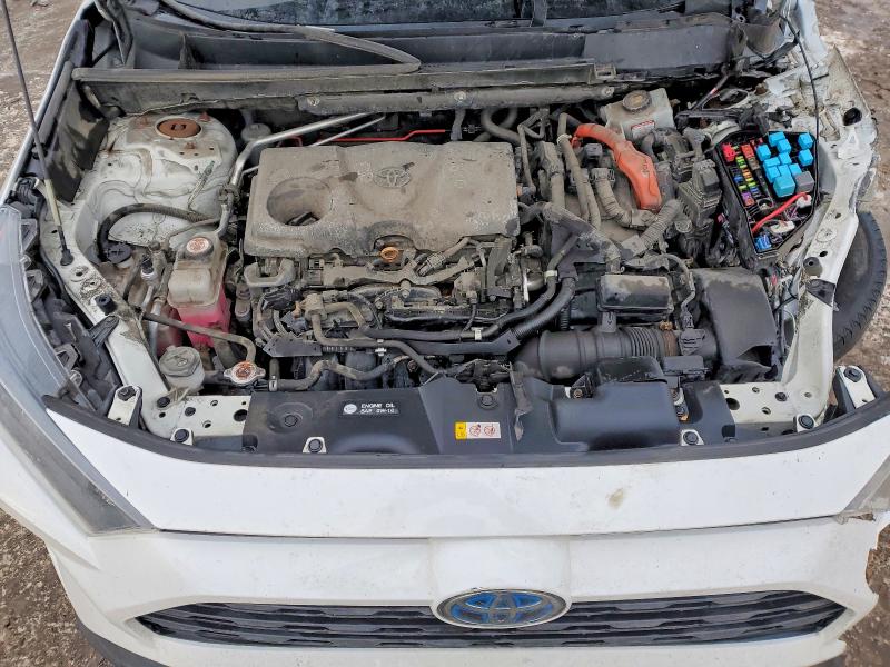 Photo 12 from auction – 2020 TOYOTA RAV4 LE with VIN 2T3LWRFV7LW066404