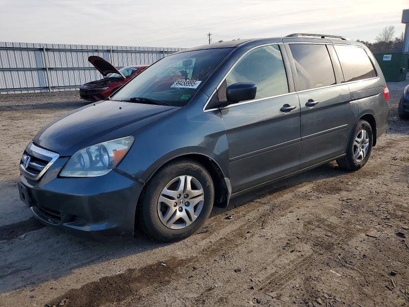 HONDA ODYSSEY EX 2005 with VIN 5FNRL38435B423168 - Photo from auction
