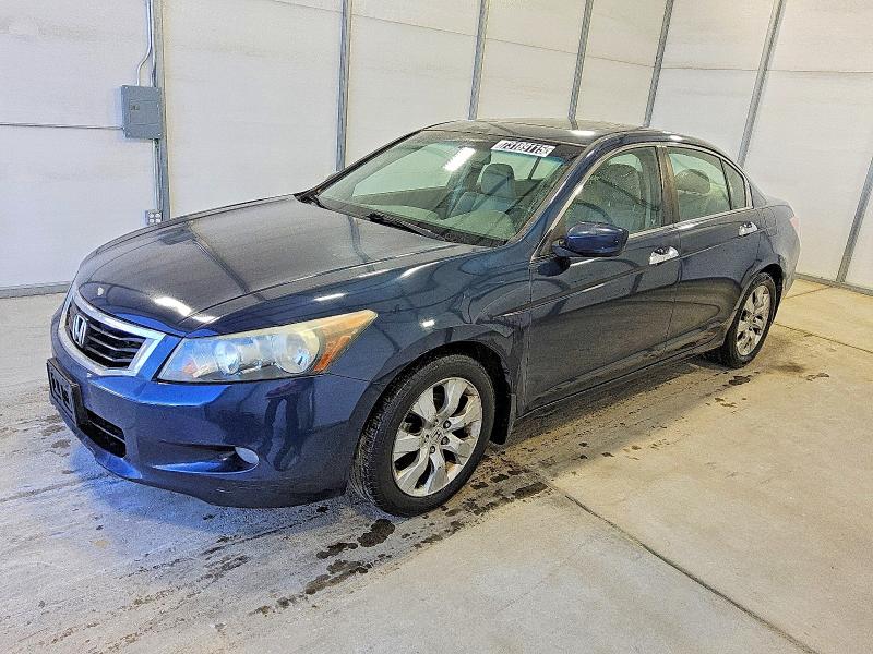 HONDA ACCORD EXL 2010 with VIN 5KBCP3F80AB017019 - Photo from auction