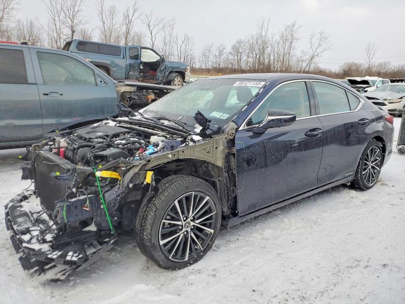 LEXUS ES 2022 with VIN 58ADA1C12NU026161 - Photo from auction