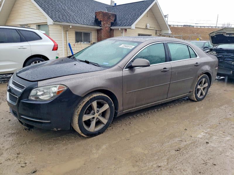 CHEVROLET MALIBU 1LT 2011 with VIN 1G1ZC5E14BF252386 - Photo from auction