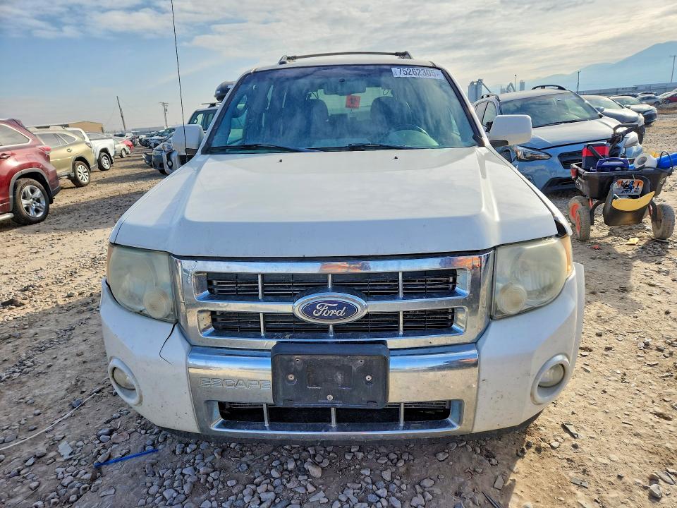 Photo 5 from auction – 2010 FORD ESCAPE LIM with VIN 1FMCU9EG2AKC77617
