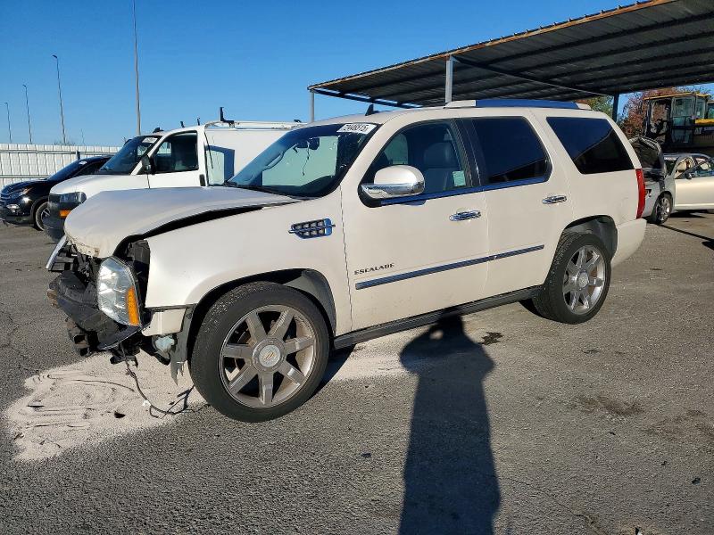 CADILLAC ESCALADE 2011 with VIN 1GYS3CEF7BR288428 - Photo from auction
