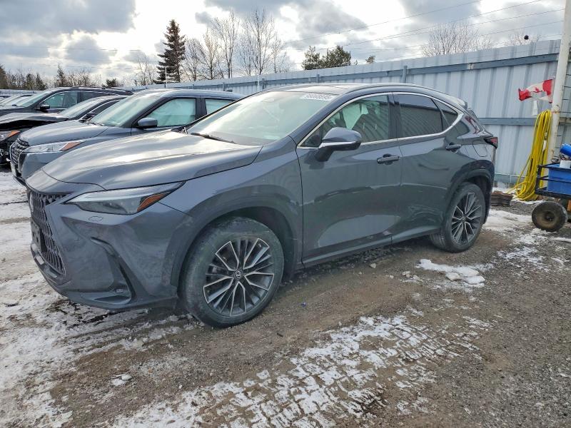 LEXUS NX 350H 2022 with VIN 2T2GKCEZ1NC006402 - Photo from auction