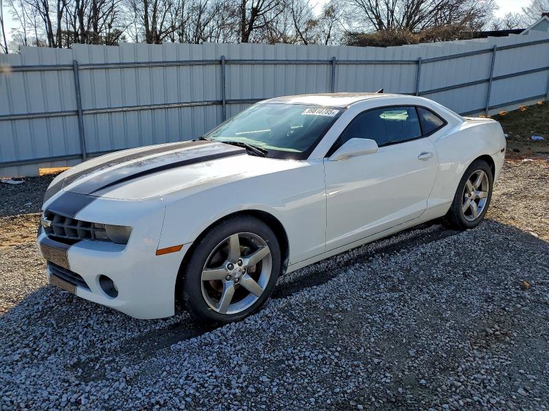 CHEVROLET CAMARO LT 2010 with VIN 2G1FB1EV5A9226324 - Photo from auction