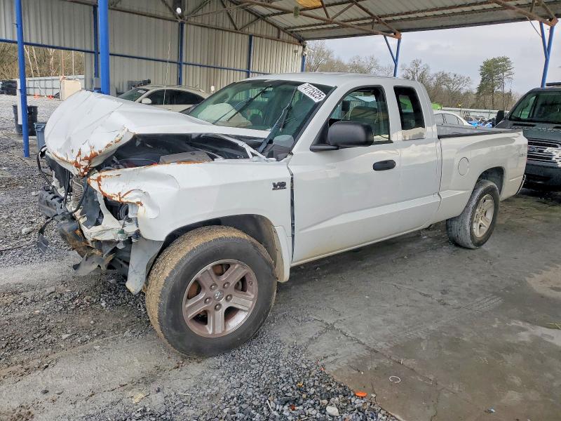 DODGE DAKOTA SXT 2010 with VIN 1D7CW3BP3AS212961 - Photo from auction