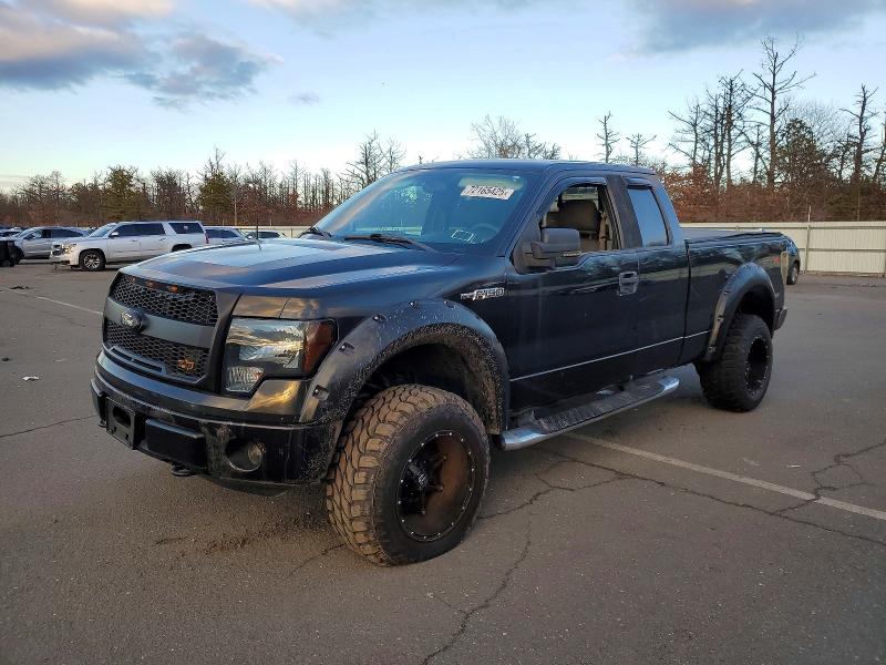 FORD F-150 2010 with VIN 1FTEX1EW7AFA20877 - Photo from auction