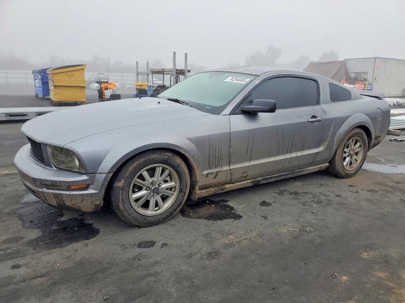 FORD MUSTANG 2007 with VIN 1ZVHT80N575263650 - Photo from auction