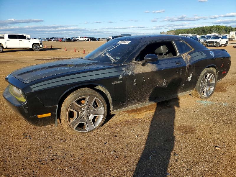 DODGE CHALLENGER 2010 with VIN 2B3CJ5DT0AH314855 - Photo from auction