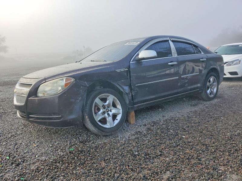 CHEVROLET MALIBU 1LT 2010 with VIN 1G1ZC5E01A4130795 - Photo from auction