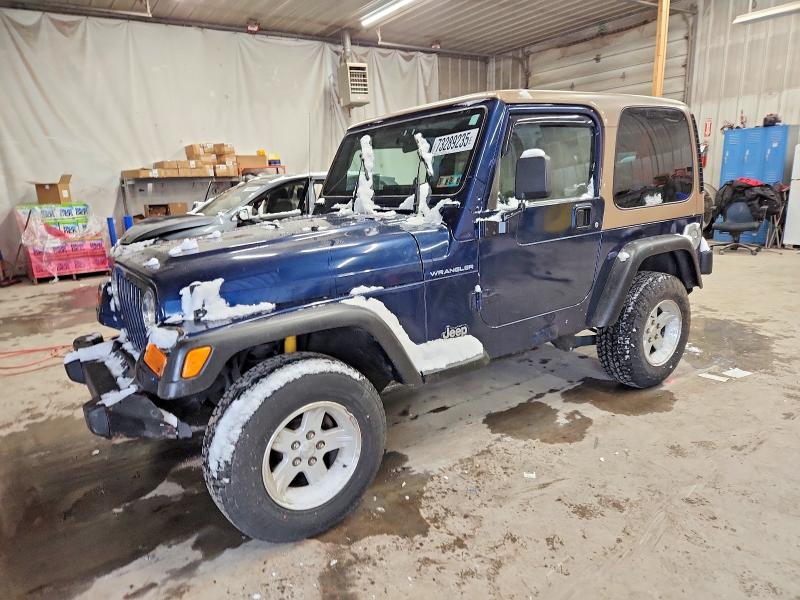 JEEP WRANGLER / 2002 with VIN 1J4FA29P32P747874 - Photo from auction