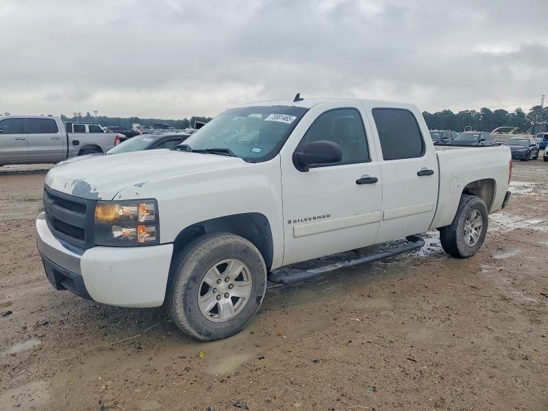 CHEVROLET SILVERADO 2008 with VIN 3GCEC13C58G258868 - Photo from auction