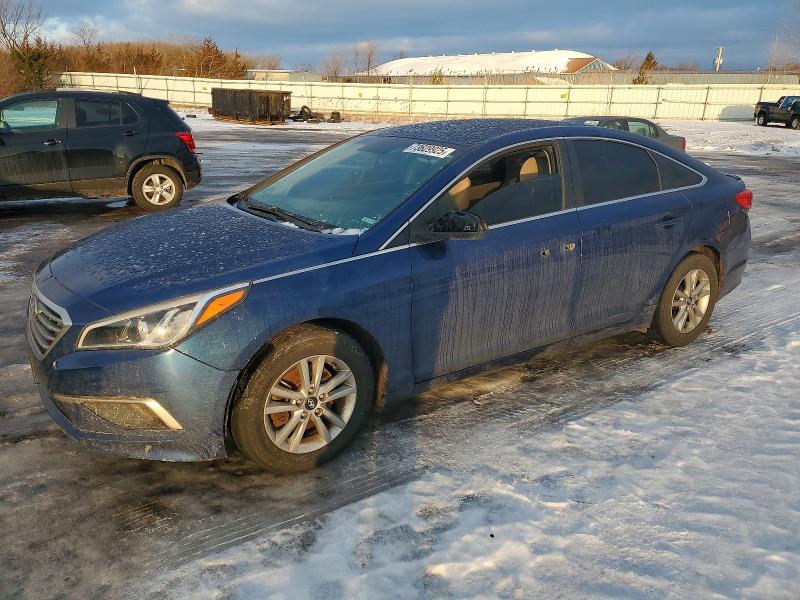 HYUNDAI SONATA SE 2016 with VIN 5NPE24AF3GH316077 - Photo from auction