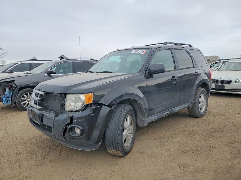 FORD ESCAPE XLT 2011 with VIN 1FMCU0D78BKC10535 - Photo from auction