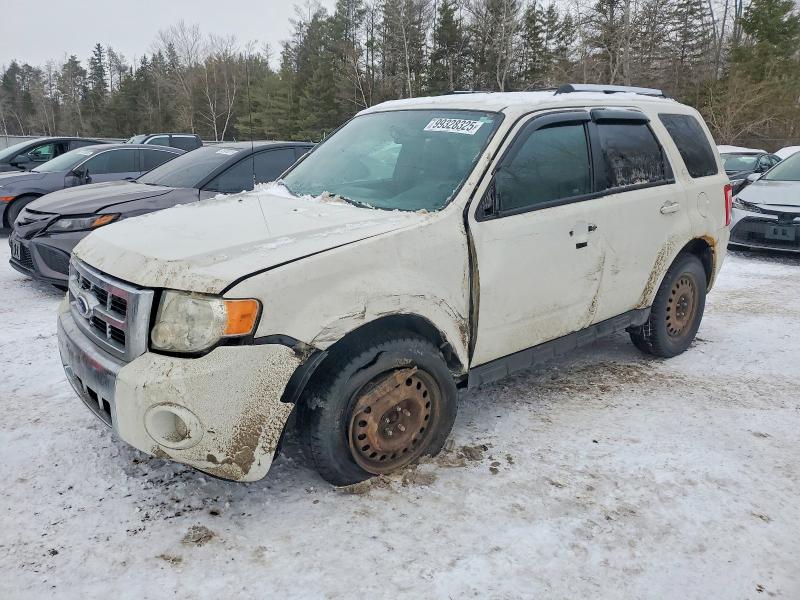 FORD ESCAPE LIM 2011 with VIN 1FMCU9EG4BKC66393 - Photo from auction