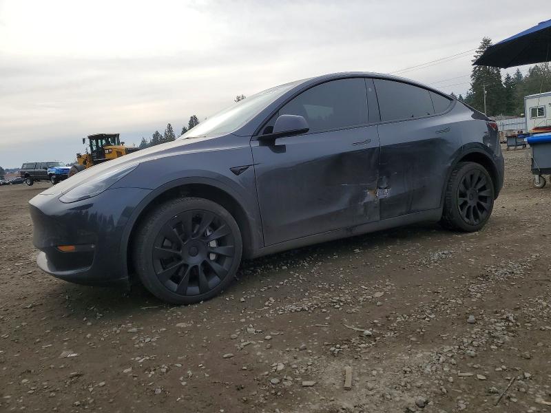 TESLA MODEL Y 2024 with VIN 7SAYGDEE4RF987164 - Photo from auction