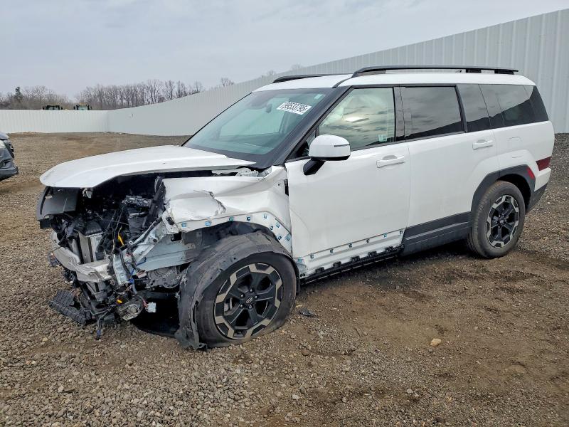 HYUNDAI SANTA FE 2024 with VIN 5NMP24GL6RH006897 - Photo from auction