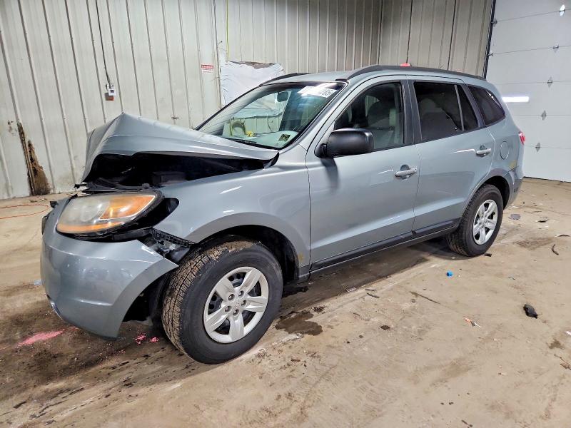 HYUNDAI SANTA FE 2009 with VIN 5NMSG13D69H318694 - Photo from auction